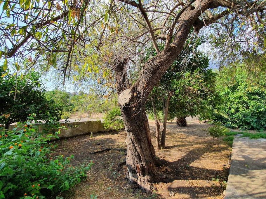 Stromboli Vacanze Buitenkant foto